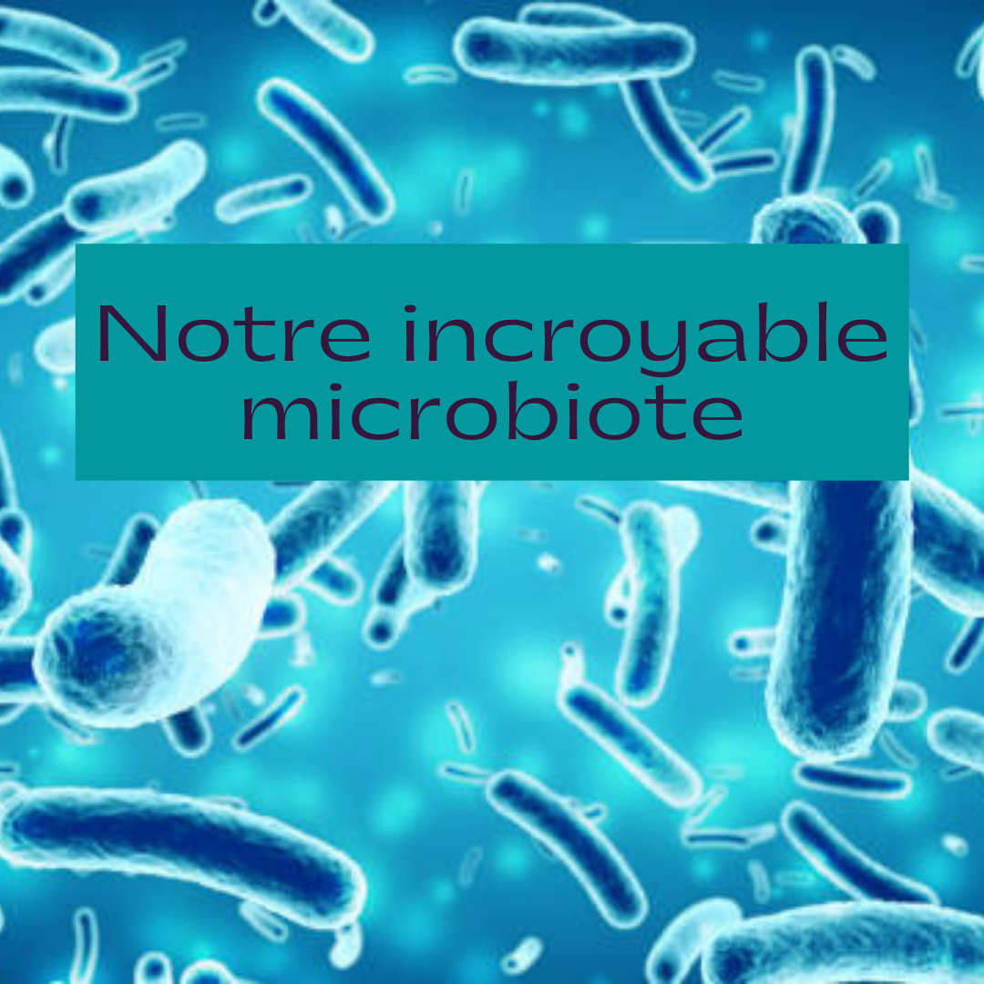Le microbiote intestinal : influence sur la santé et modulation